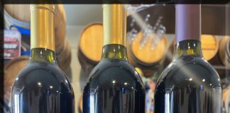 International Award-Winning Wines are now in Utah Zion Vineyards Brings Home Three Silver Medals