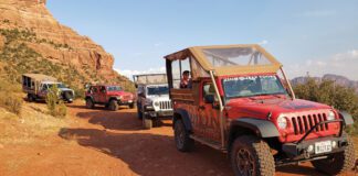 Discover Southern Utah: Zion Jeep Tours Rolls Out New Night Sky Experience Zion Jeep Tours