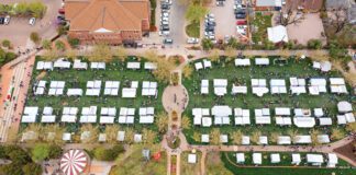 St. George Art Festival Returns! St. George Art Festival
