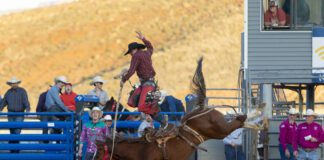 Entertainment Is King At This Year’s Washington County Fair Washington County Fair