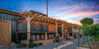 The Art of Natural Wine – Experience Water Canyon Winery in Hildale & Springdale. Water Canyon Winery