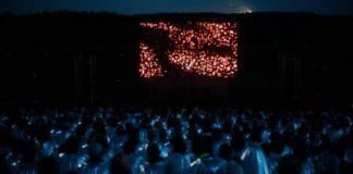 Hypnotic ‘FIREBIRD’ Production Brings Unique Visual and Auditory Performances to So. Utah FIREBIRD