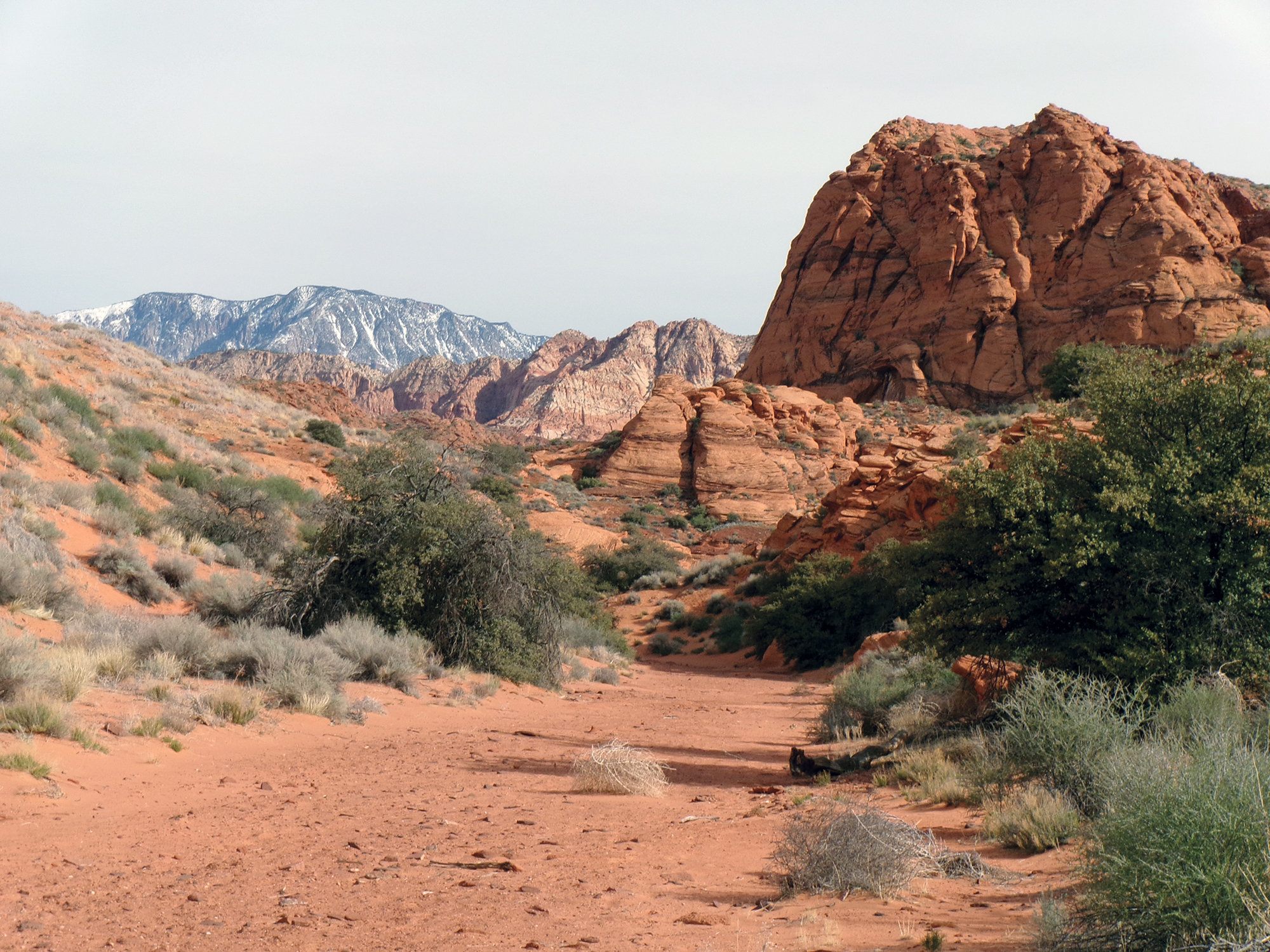 Bone Wash Trail - Photo By Tom Garrison