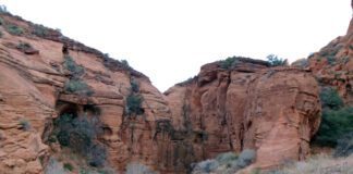 Bone Wash Trail in the Red Cliffs Desert Reserve Bone Wash Trail - Photo By Tom Garrison