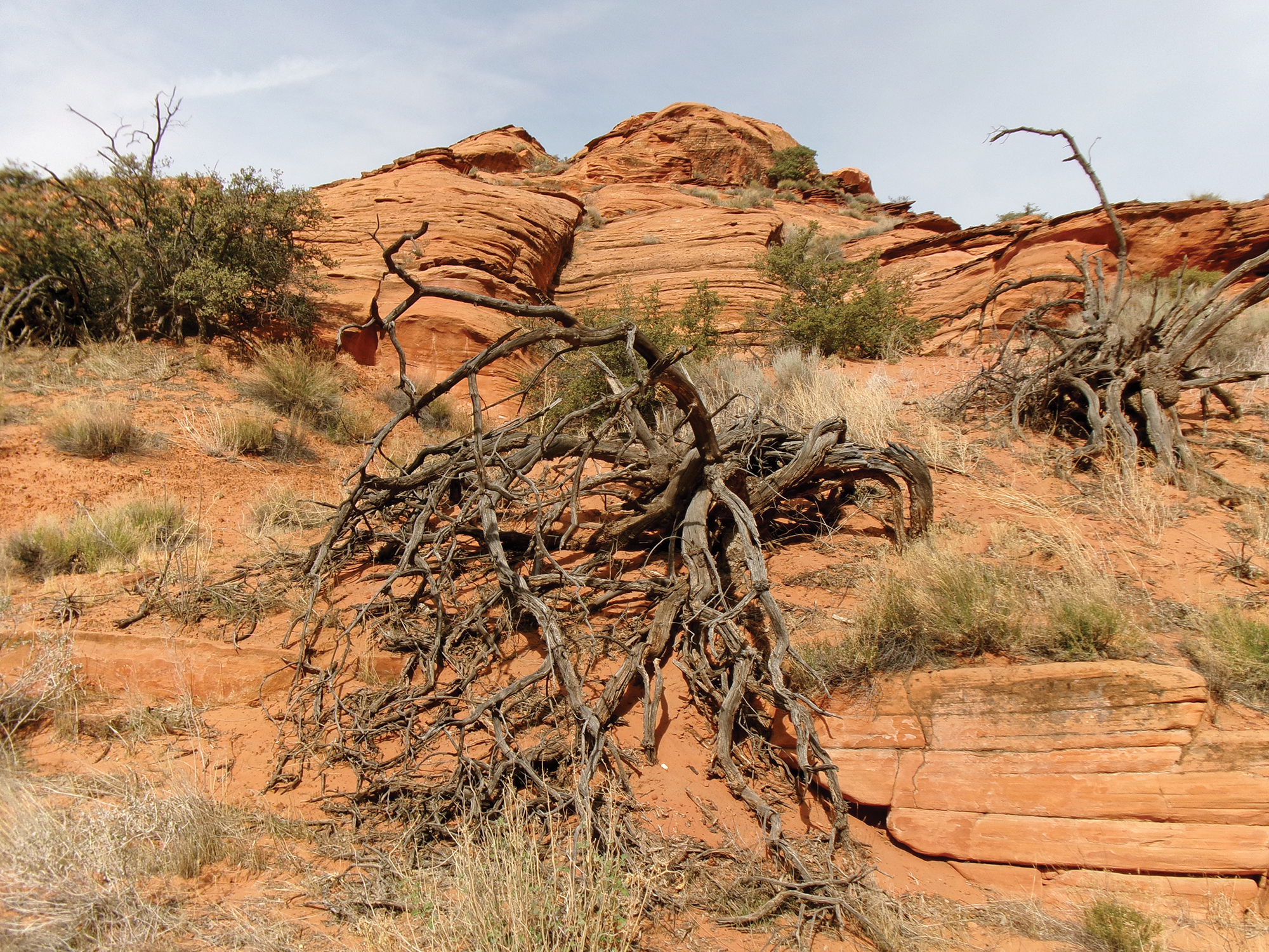 Bone Wash Trail - Photo By Tom Garrison