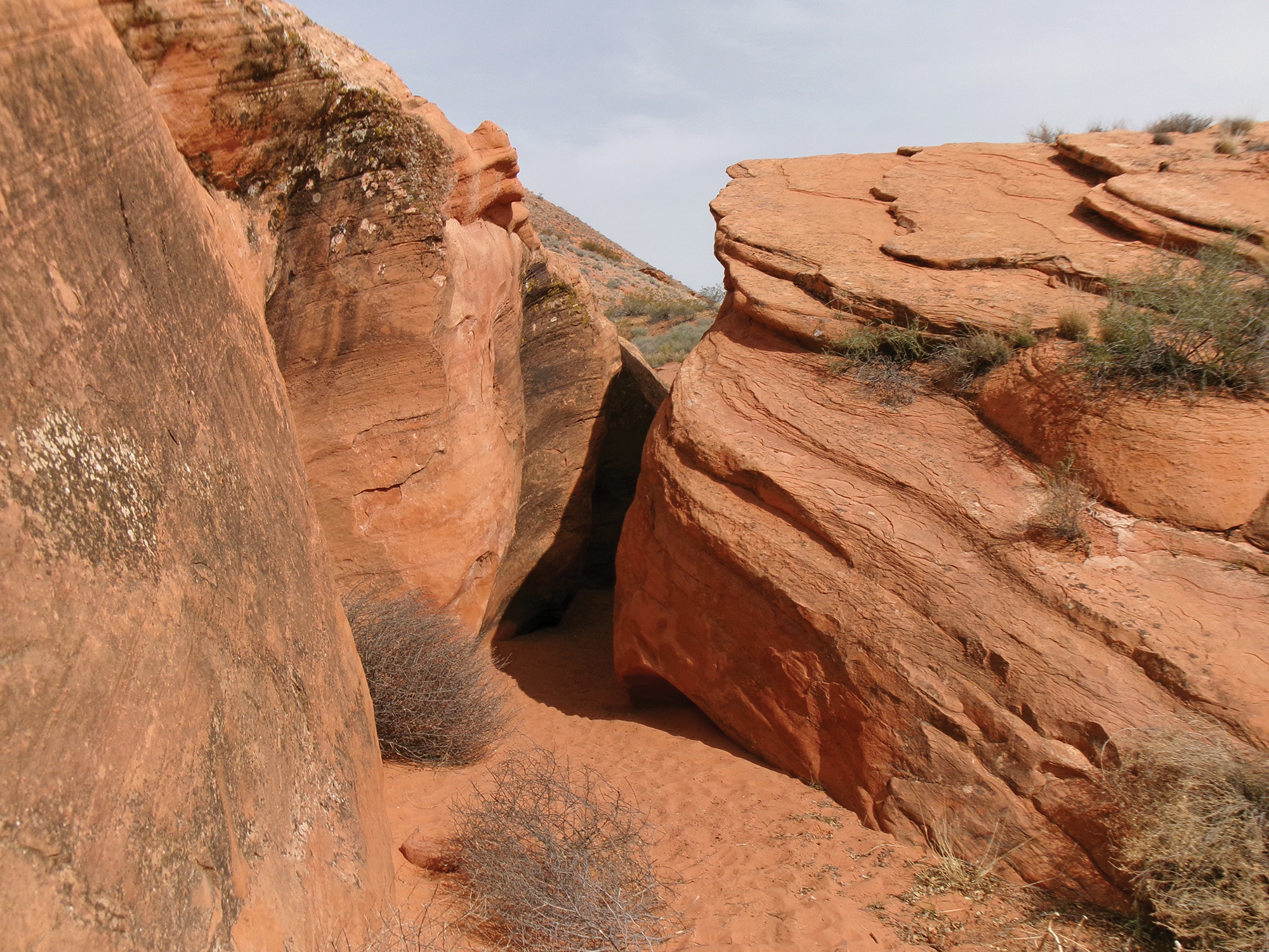 Bone Wash Trail