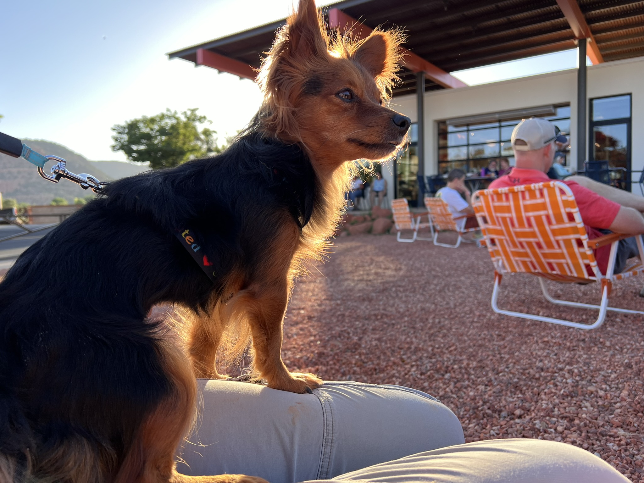 Best Friends Roadhouse & Mercantile