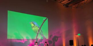 A Season on the Wind: Bowerbird Collective Brings Cinematic Concert to Springdale A Season on the Wind: A Cinematic Concert Celebrating Nature Comes to Springdale
