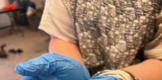 Utah’s Species Protection Account Allocates $4 Million to Fund 30 Projects in 2025 That Help Wildlife Recover Utah's Species Protection