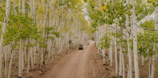 Richfield Boasts Pando, Fishlake National Forest Among Must-Sees in Utah Richfield Boasts Pando, Fishlake National Forest Among Must-Sees in Utah