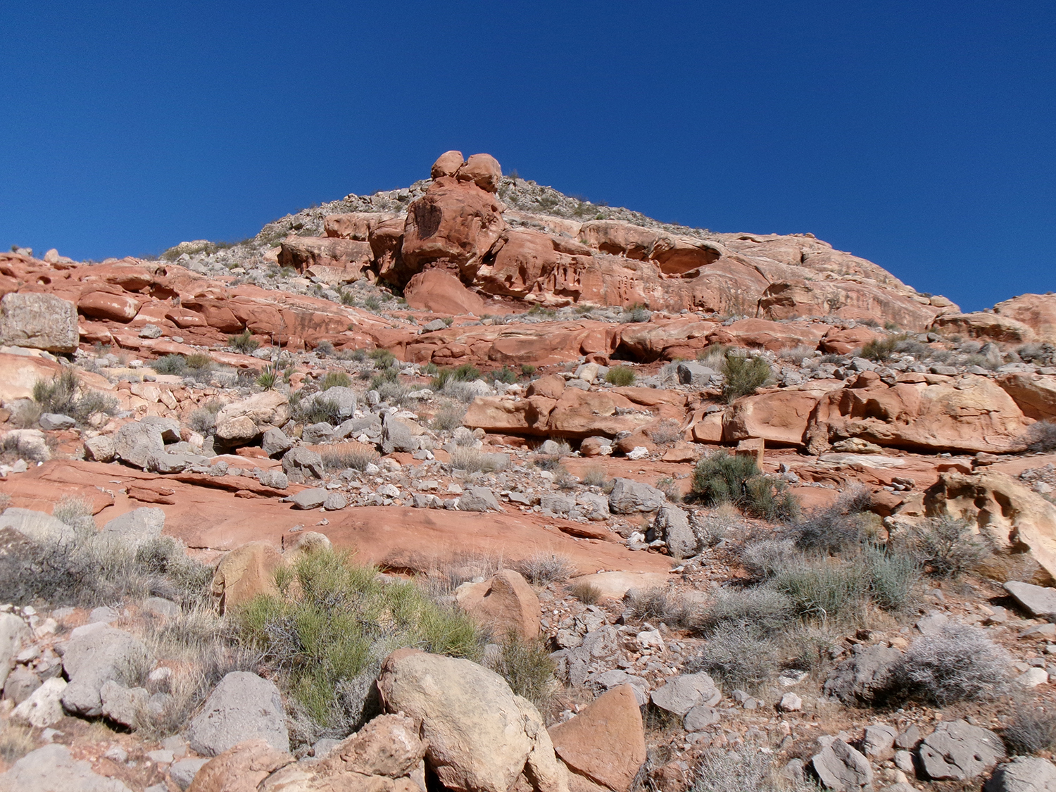 Da Vinci Petroglyph Trail in the Virgin River Gorge