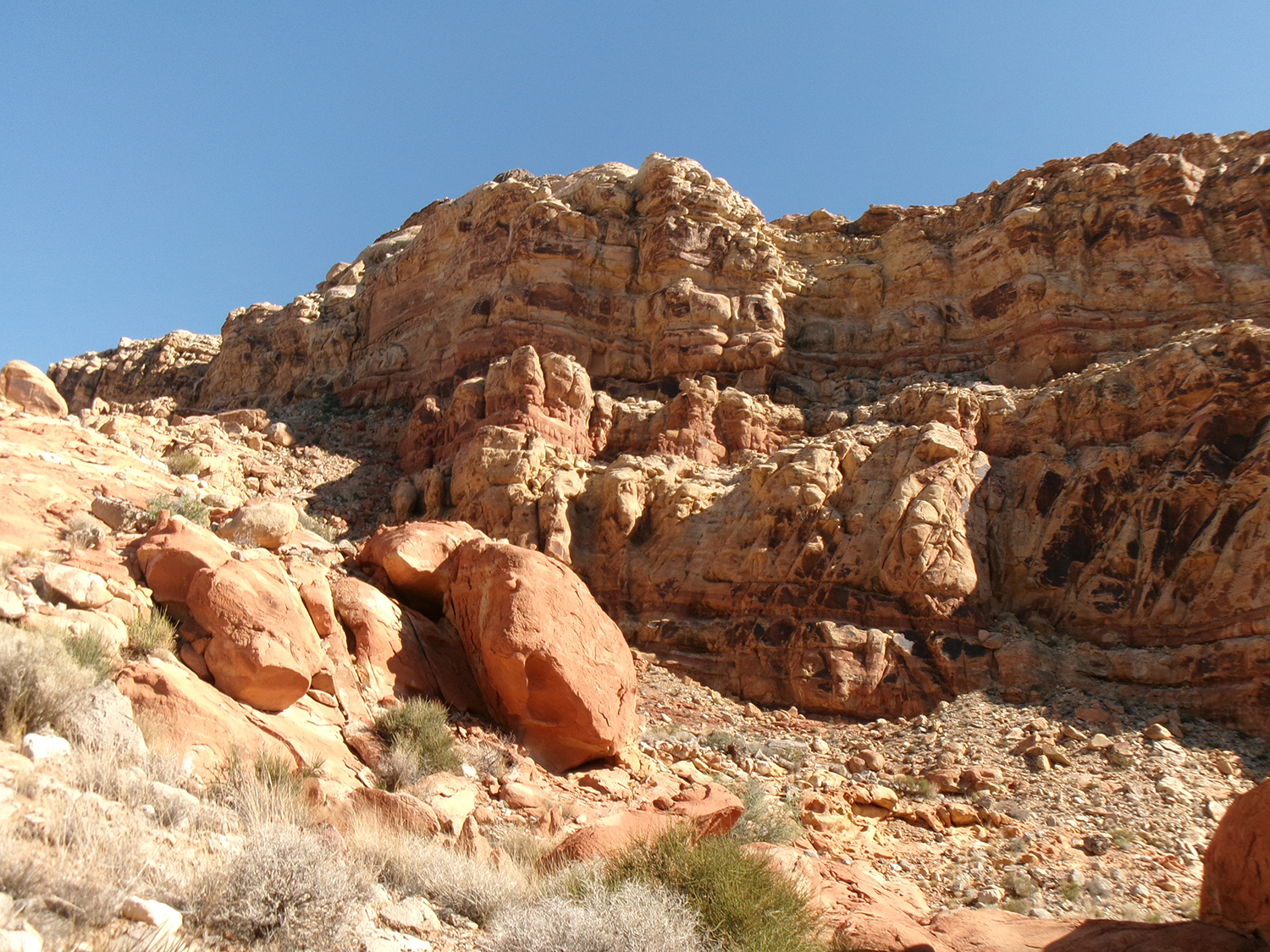 Da Vinci Petroglyph Trail in the Virgin River Gorge