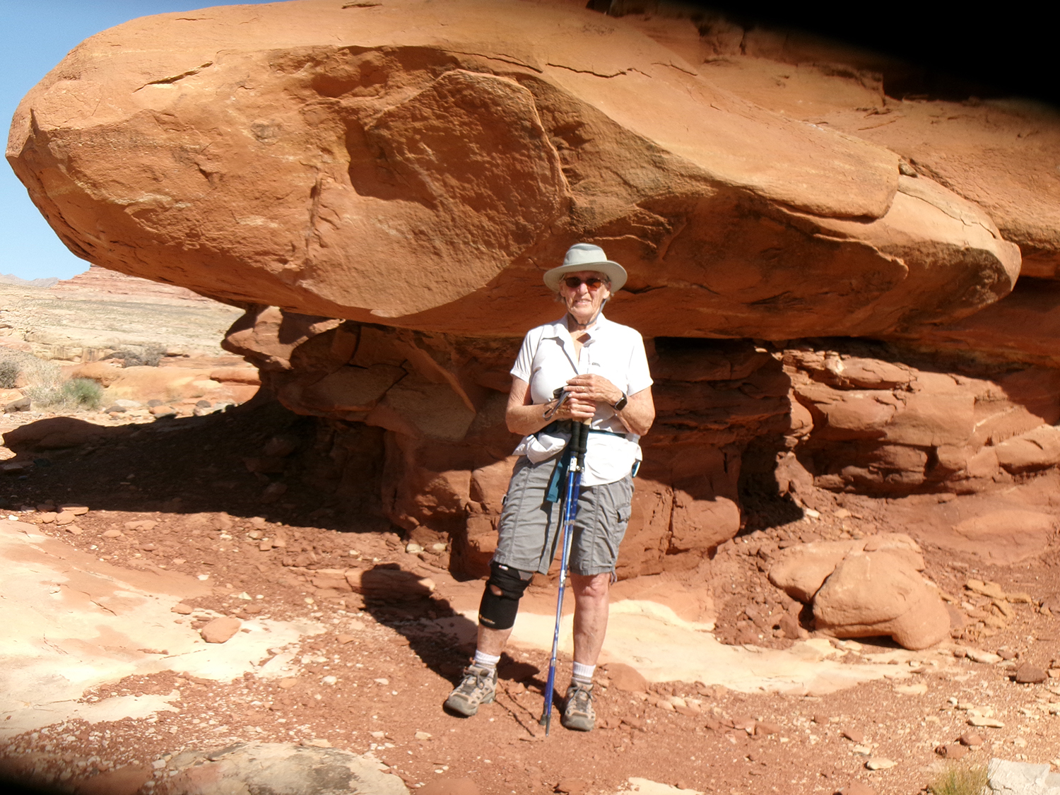 Da Vinci Petroglyph Trail in the Virgin River Gorge