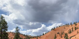 $23.2 Million in Grants Expand Trails, Parks, and OHV Access Across Utah $23.2 Million in Grants Expand Trails, Parks, and OHV Access Across Utah