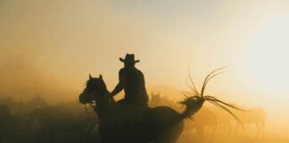 Ranch Rodeo Series Rides Into Parowan with Grit and Glory Ranch Rodeo Series Rides Into Parowan with Grit and Glory