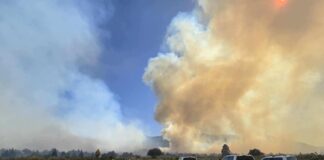 Forsyth Fire Forces Evacuations in Pine Valley, Destroys 12 Structures Forsyth Fire Pine Valley