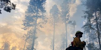 Forsyth Fire Grows to Over 8,000 Acres Near Pine Valley photo courtesy of https://www.firenet.gov/