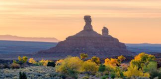 Projects Across Public Lands in Utah Provide Hands-On Opportunities to Protect Wild Utah Projects Across Public Lands in Utah Provide Hands-On Opportunities to Protect Wild Utah