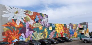 A Symphony in Bloom: “The Sound of St. George” by Pepe Gaka A Symphony in Bloom: “The Sound of St. George” by Pepe Gaka