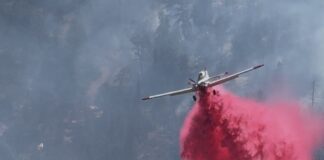 France Canyon Fire Update The France Canyon Fire continues to grow with tactical operations underway to protect local communities and infrastructure in Southern Utah.