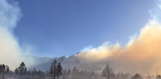 Forsyth Fire Update The Forsyth Fire near Pine Valley, Utah has grown to 7,045 acres with 0% containment. Community meetings and ongoing containment strategies are in place as fire crews continue efforts across impacted zones.