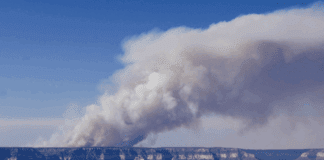 White Sage Fire Grows to Over 51,000 Acres as Crews Focus on Southeastern Flan Dragon Bravo Fire: Grand Canyon North Rim Structures Lost, Closures Expand as Fire Grows