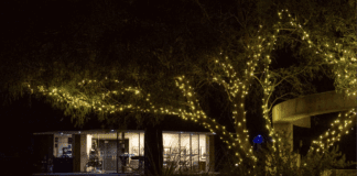 CineSizzle Returns to Kayenta Arts Center With Cult Classics and Indie Gems CineSizzle Returns to Kayenta Arts Center With Cult Classics and Indie Gems