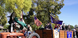 Washington City Celebrates Pioneer Day with Parade, Family Fun, and Fireworks WashingtonCity.org/celebrations