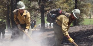 France Canyon Fire Update: Transition to Local Management as Containment Reaches 80% The France Canyon Fire is now 80% contained at 33,364 acres as management transitions to a local Type 3 team. Forest closures remain in place for public safety.