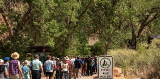 Plan Ahead for July 4 Weekend at Zion National Park Plan Ahead for July 4 Weekend at Zion National Park