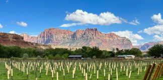 I/G Winery and the Utah Wine Festival: Raising a Glass to Southern Utah’s Growing Wine Scene I/G Winery and the Utah Wine Festival: Raising a Glass to Southern Utah’s Growing Wine Scene