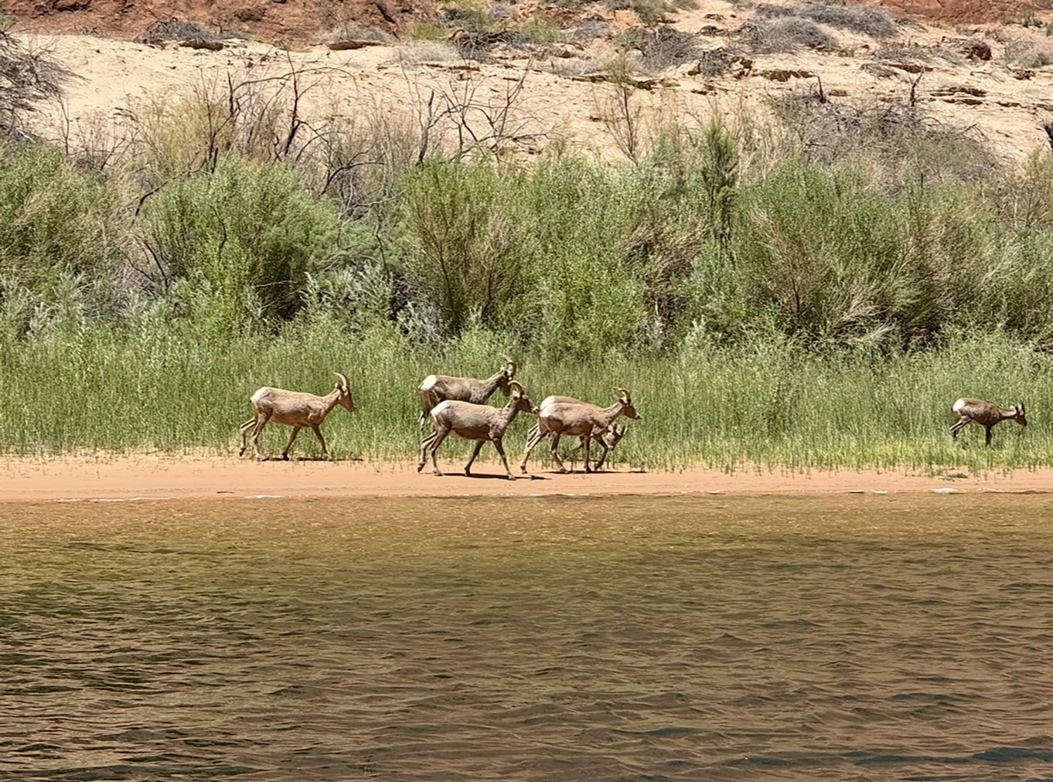 Kayak the Colorado Delivers More Than Just a Paddle—It’s an Awakening Lees Ferry, AZ