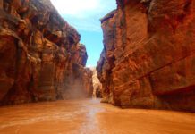 Kayak the Colorado Delivers More Than Just a Paddle—It’s an Awakening Lees Ferry, AZ Kayak the Colorado Delivers More Than Just a Paddle—It’s an Awakening Lees Ferry, AZ