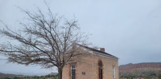 Queen Ann of the West: The Silver Reef Years of Ann Bassett