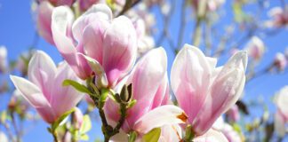 Southern Utah Events Guide – August 14