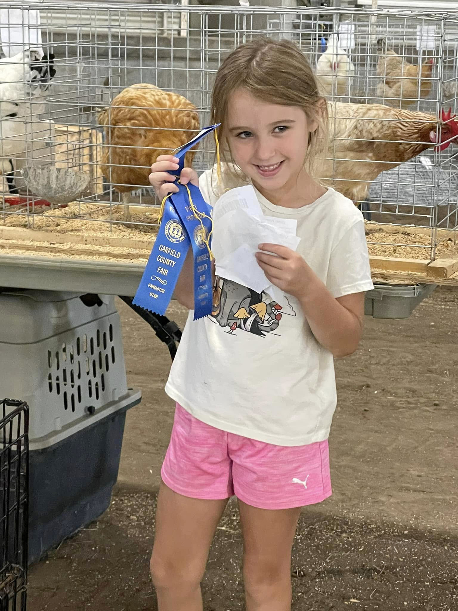 Three Southern Utah County Fairs Bring the Fun This August and September