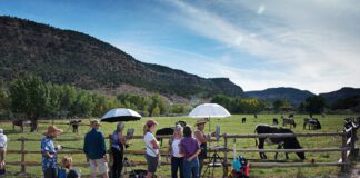 Art Defined by Diversity: Escalante Canyons Art Festival Turns 21 Celebrate the 21st Escalante Canyons Art Festival, Sept. 19–28, 2025. Enjoy workshops, plein air competitions, music, wood carvings, quilt exhibits, and naturalist excursions in Escalante, Utah.