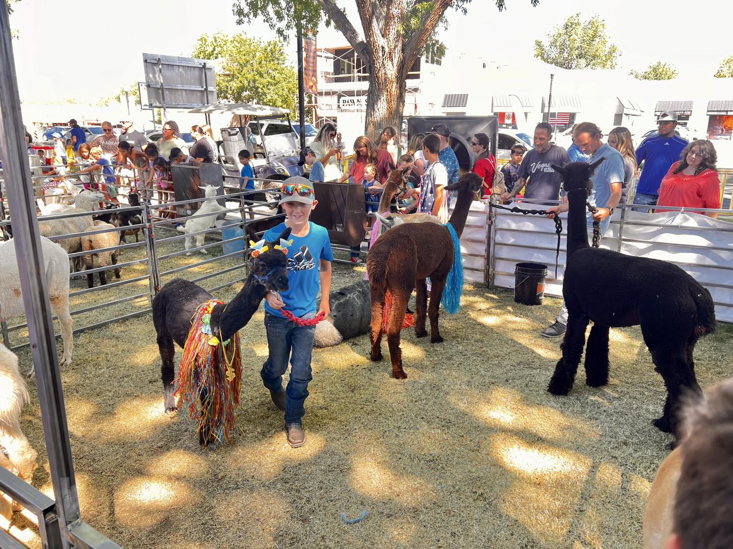 Peach Days 2025 Brings Heritage, Fun, and Fresh Peaches to Hurricane