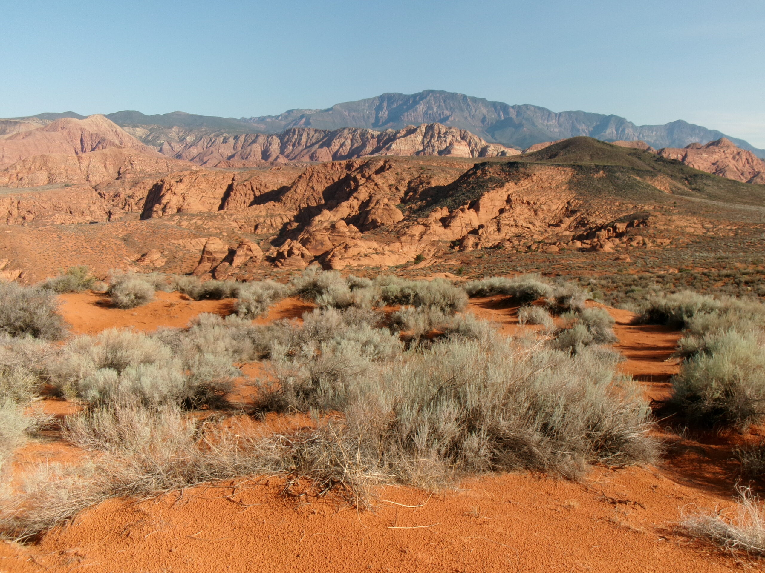 If you like slogging through loose sand for a good workout, Sand Hill Trail is for you. Along with the workout are some spectacular views to the north of canyons...