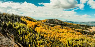 Fall Colors Arrive at Brian Head Resort