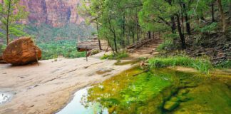 A Classic Zion Hike Revisited: Emerald Pools