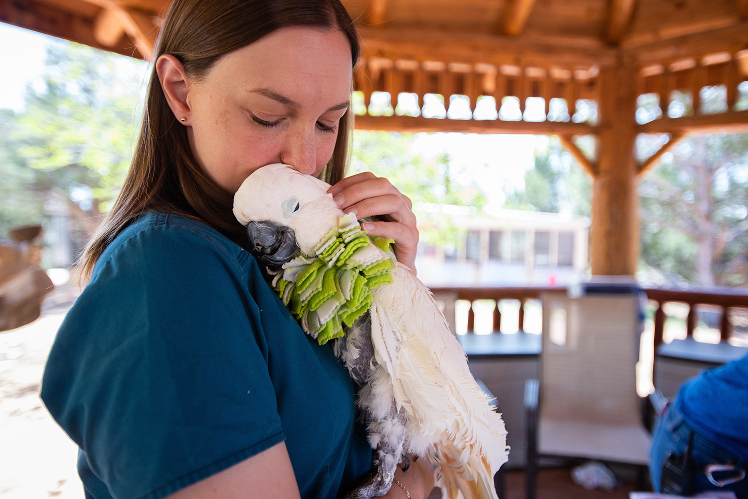 Best Friends Animal Sanctuary Welcomes You This Fall