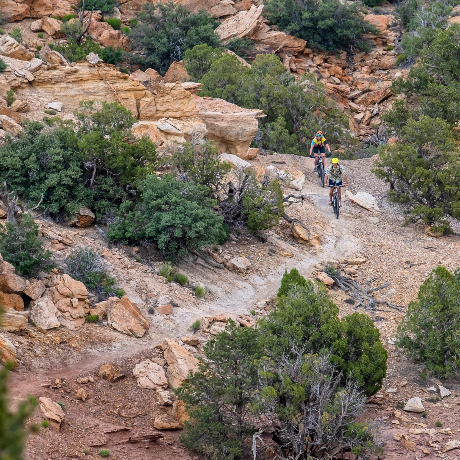 Kanab Cycling Club’s Thrills and Skills Bike Festival returns Oct. 23–26 with guided rides, live music, vendors, shuttles, rentals, and scenic single-track. Register at ThrillsAndSkills.com. 