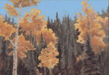 Harvest Season for Stories: How to Share Your Fall Events