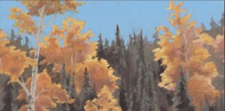 Harvest Season for Stories: How to Share Your Fall Events