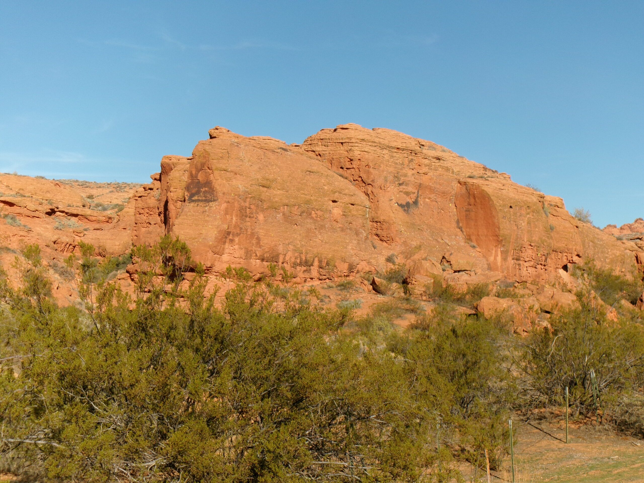 View to the west, Beck Hill Trail, November 2025 - Photo by Tom Garrison