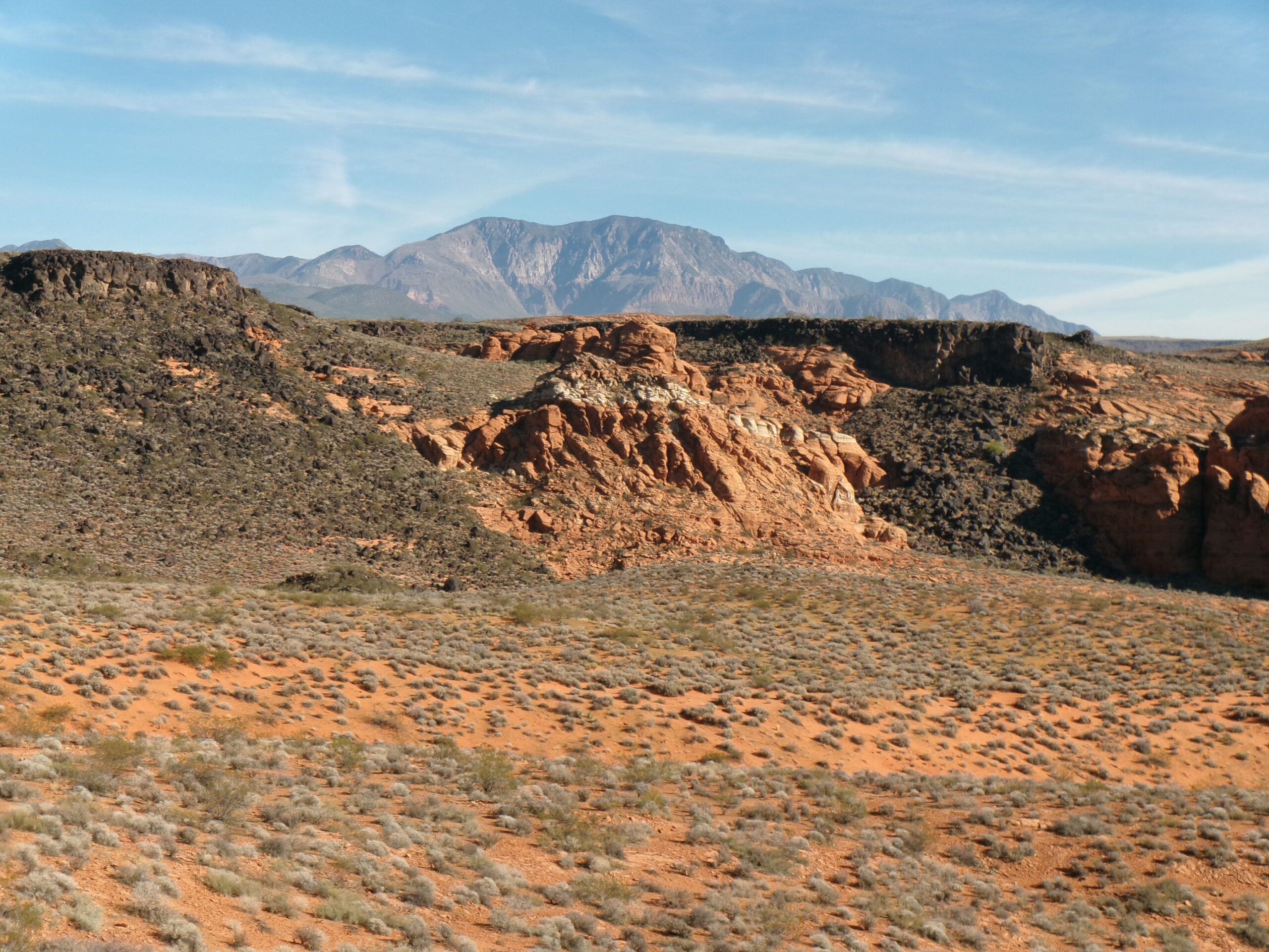 View to the north from Beck Hill Trail, November 2025 - Photo by Tom Garrison