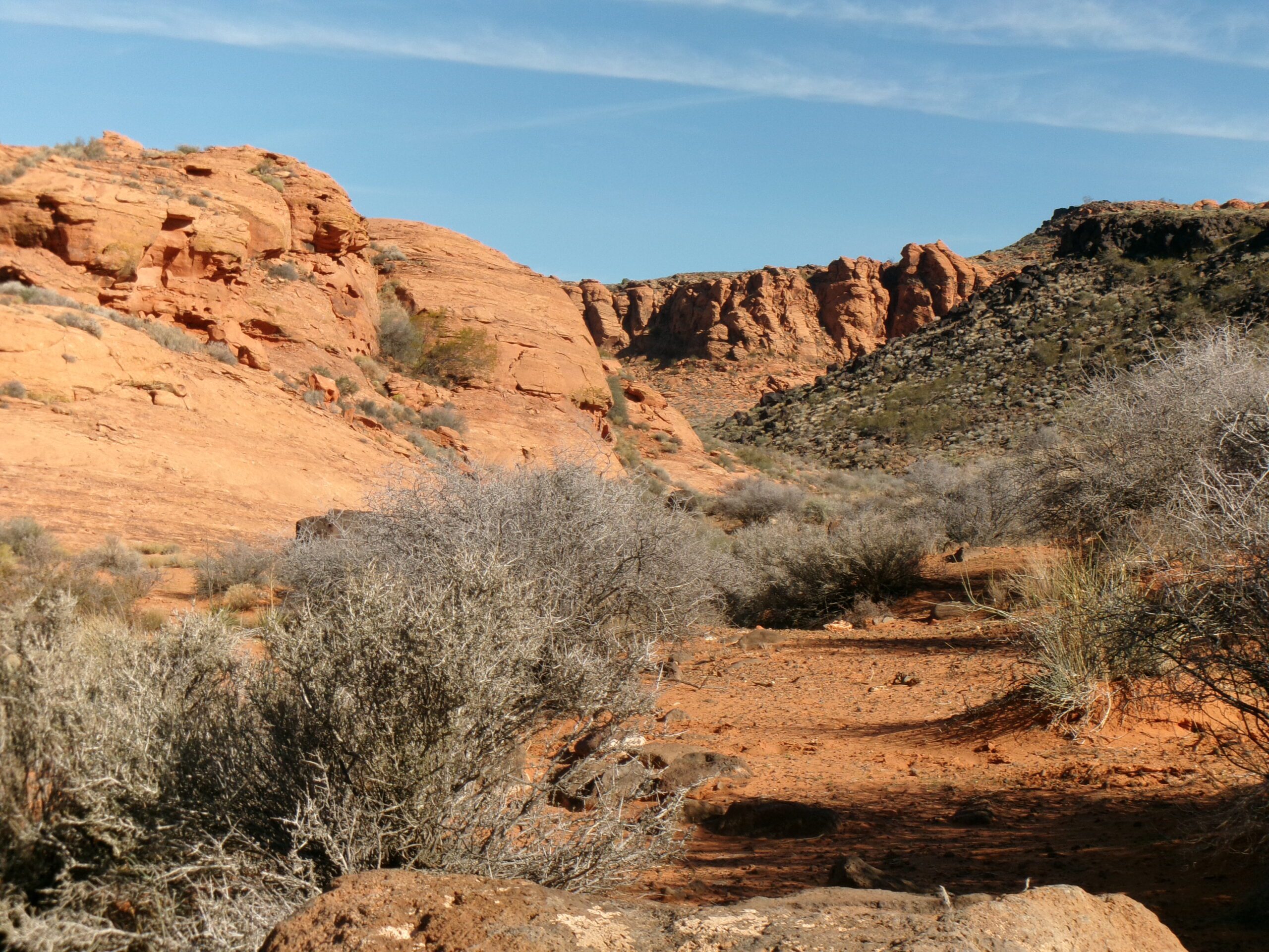 View to the north from Beck Hill Trail, November 2025 - Photo by Tom Garrison