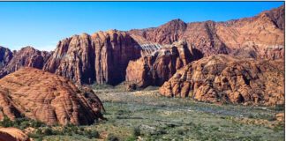 Fast Course, Stunning Views: Runners Gear Up for the Snow Canyon Half Marathon The Snow Canyon Half Marathon, 10K, 5K, and Fun Run return Nov. 15 with breathtaking views through Snow Canyon State Park. Registration is open now for this fast, scenic Southern Utah race.
