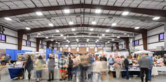 Run, Donate, Celebrate: Harvest Festival and Turkey Trot Return November 22 The annual St. George Harvest Festival and Turkey Trot return November 22 at J.C. Snow Park with races, games, and a food drive benefiting the Utah Food Bank.